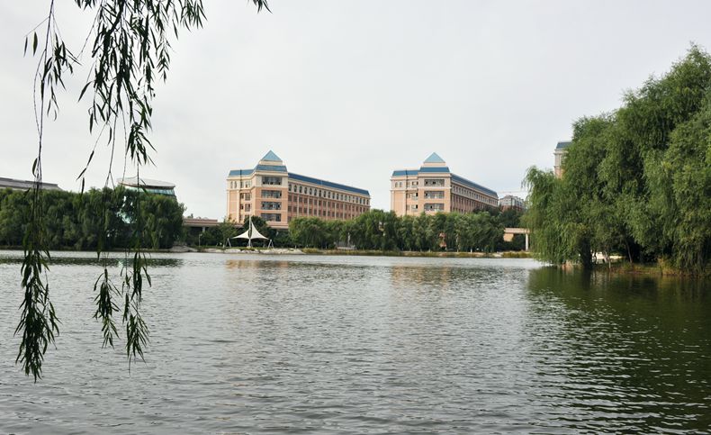 渤�v大学