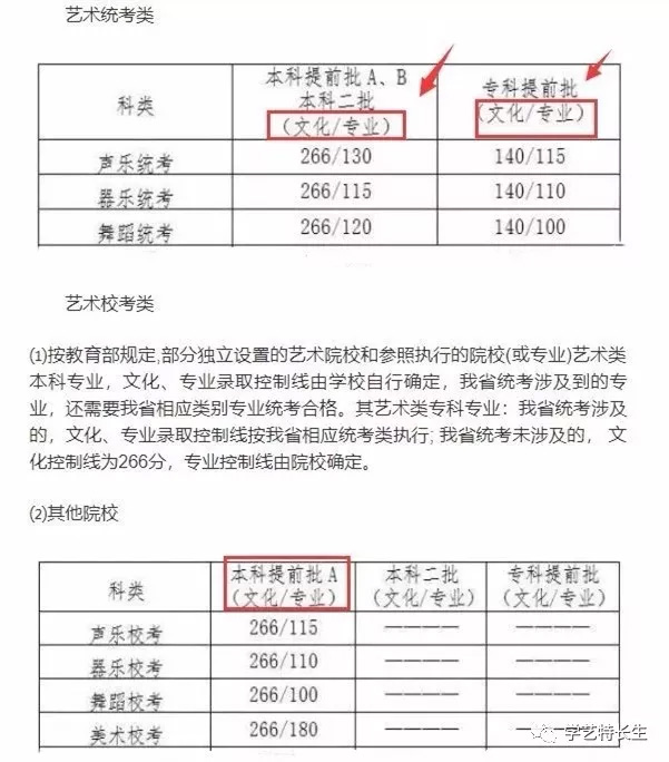 文化和专业双�q�线