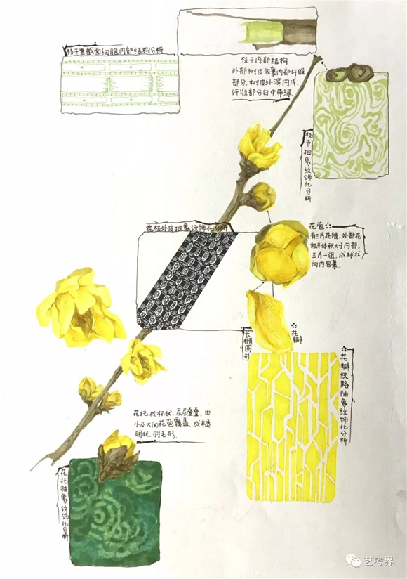 央美状元李劲奕作�? width=