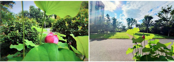 �����集�? /> 
</p>
<p style=