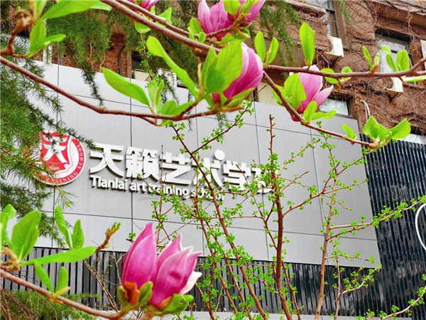 �����集�? /> 
</p>
<p style=