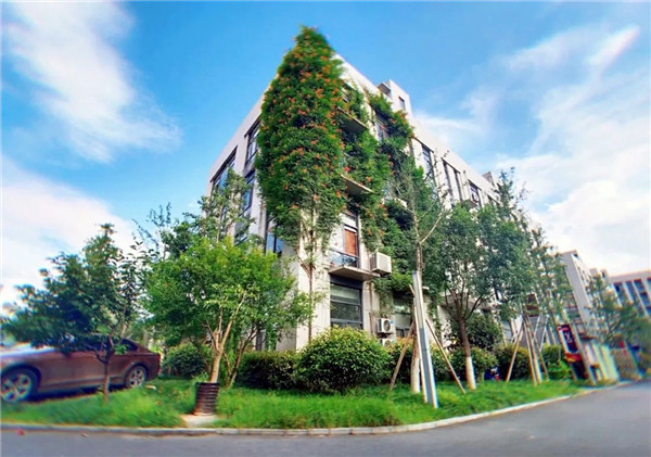 �����集�? /> 
</p>
<p style=