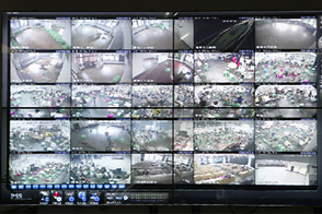 一站式藝考服務